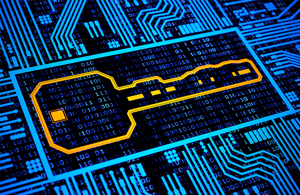 Circuit board key