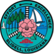 City of Slidell, Louisiana. Effort, Excellence